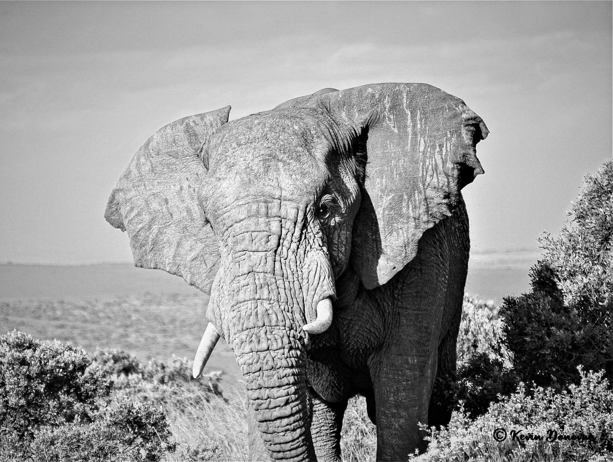 DonovanDigitals tweet media