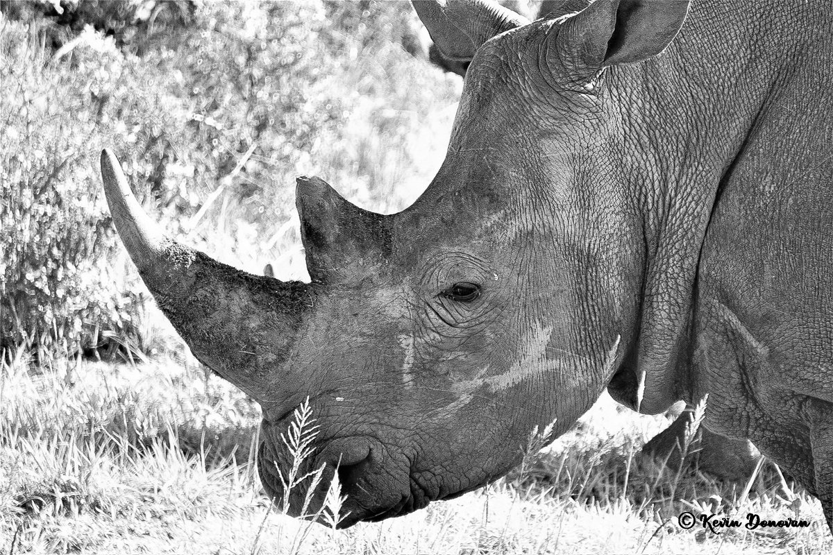 DonovanDigitals tweet media