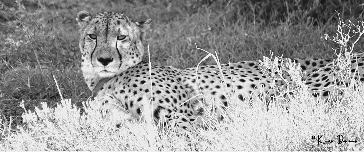 DonovanDigitals tweet media