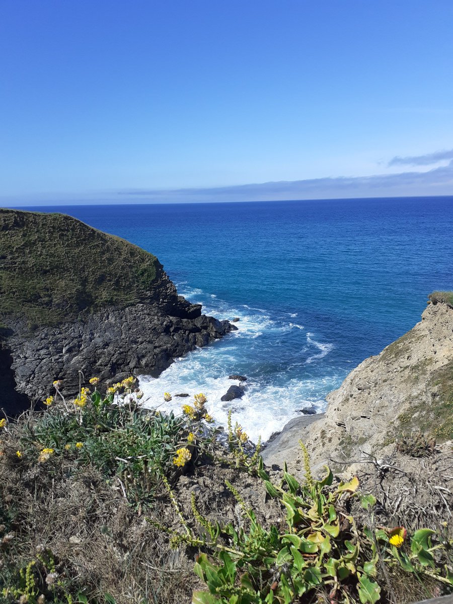 AnnEBrockbank1's tweet photo. Cornwall remembered. For those of us who are #stillshielding because we are, or live with, someone who is #Clinicallyvulnerable and cannot get to our favourite #Cornish places, here is your #vitaminsea for the day. #Halzephron Cliff  #dailyphoto https://t.co/j4TBTwvPC1