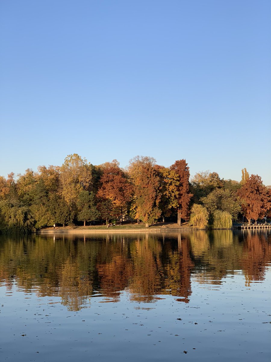MonicaSuma's tweet photo. Back to running 🏃🏻‍♀️ and to proper autumn 🍂 #Bucharest https://t.co/4BAgOAsSKB