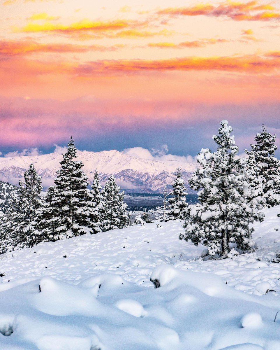 visitmammoth's tweet photo. The perfect combination βοΈπ
A huge thank you to some of our lovely locals, @outhikingwithtiare & @fishmammoth for grabbing these stunning images.
#VisitMammoth
#NoSmallAdventure https://t.co/gu9W0MpY4Z