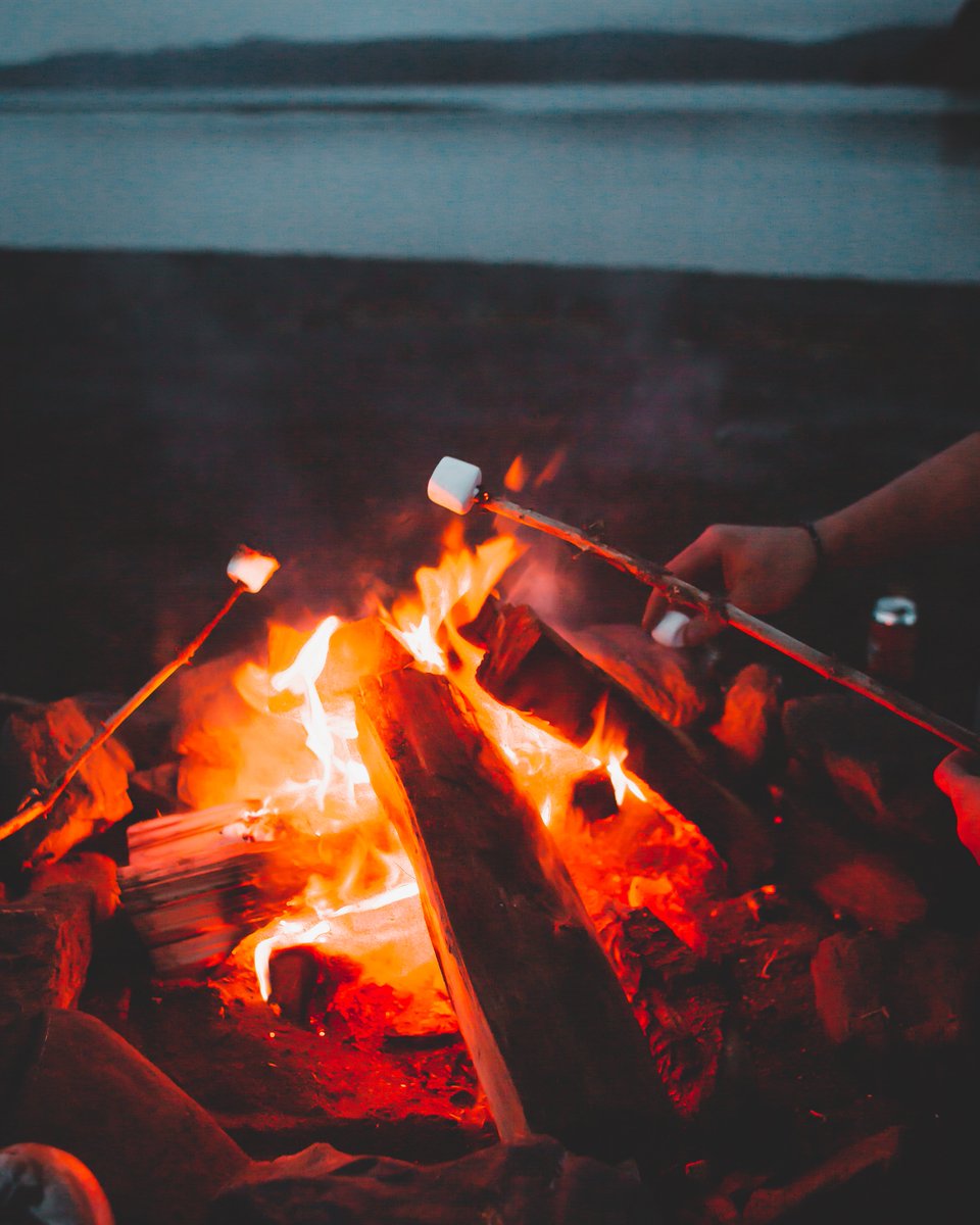 mountain mommy tweet media