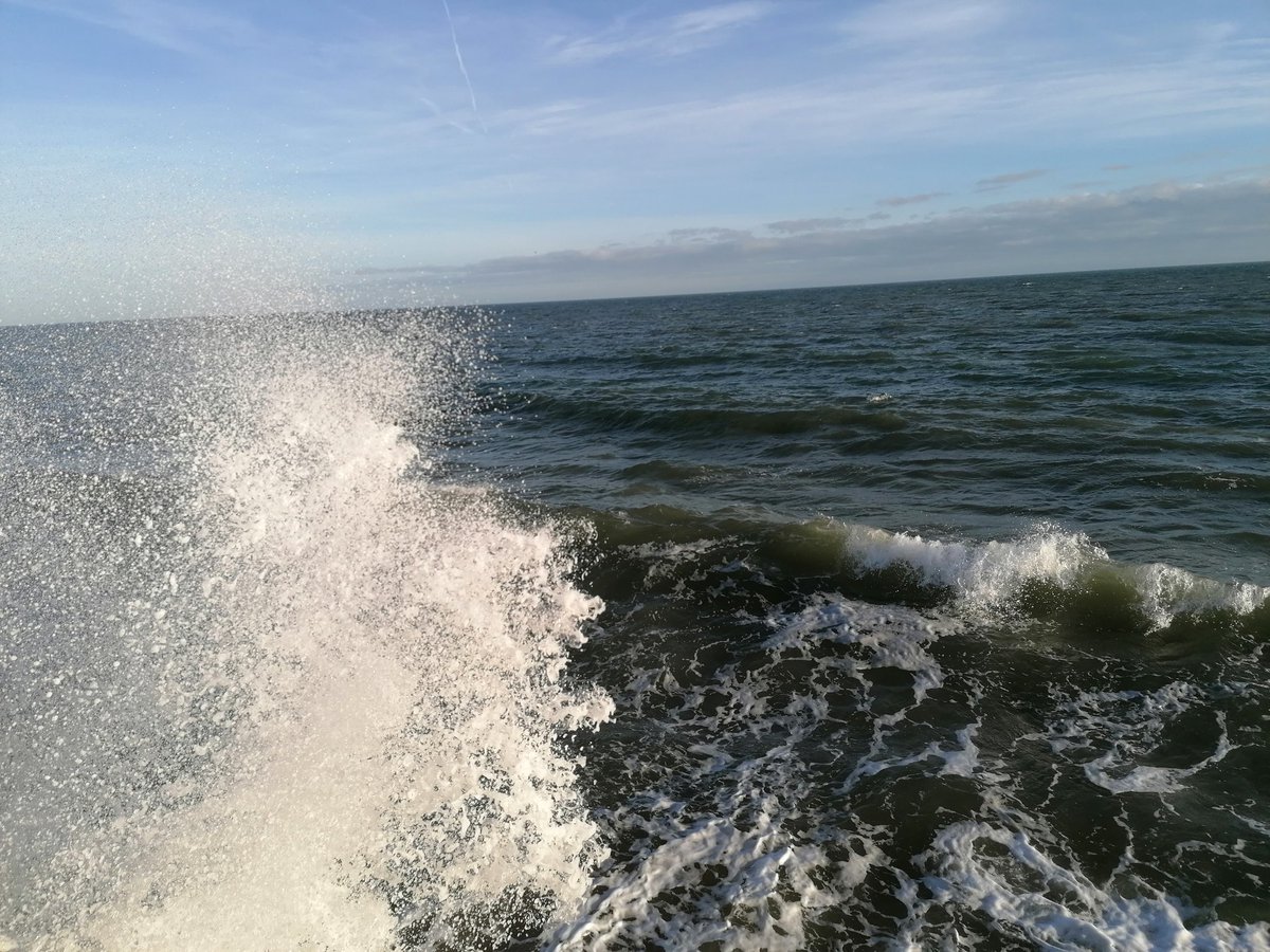Bit of a windy day at the beach....