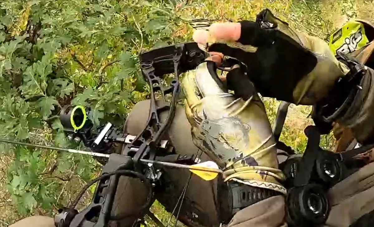 NAWhitetail's tweet image. With the warm temperatures and conditions that occur in the early season, wearing the wrong hunting gloves can be uncomfortable and inefficient. Here hosts Haynes Shelton and Laden Force look at a couple options from #HuntMonkey. Catch episode 3 at bddy.me/3En0O9W.