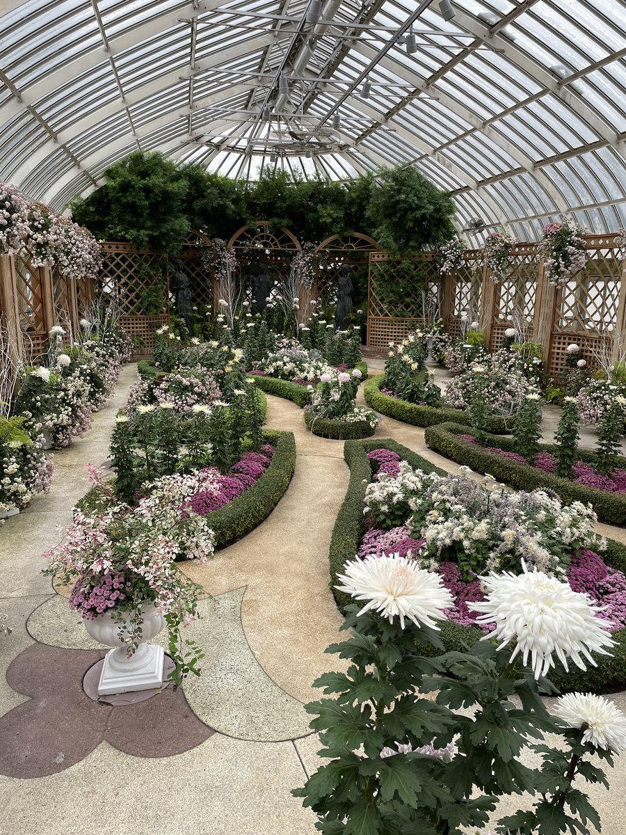 A little beauty for your day. Phipps conservatory.