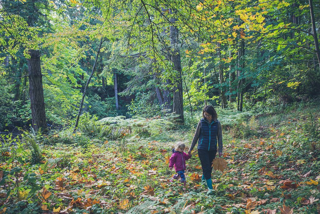 “Autumn leaves don't fall, they fly. They take
their time and wander on this their only chance to soar.”
― Delia Owens, Where the Crawdads Sing

📸: Miller-Kirkman Preserve by Sue Larkin

#bainbridgeisland