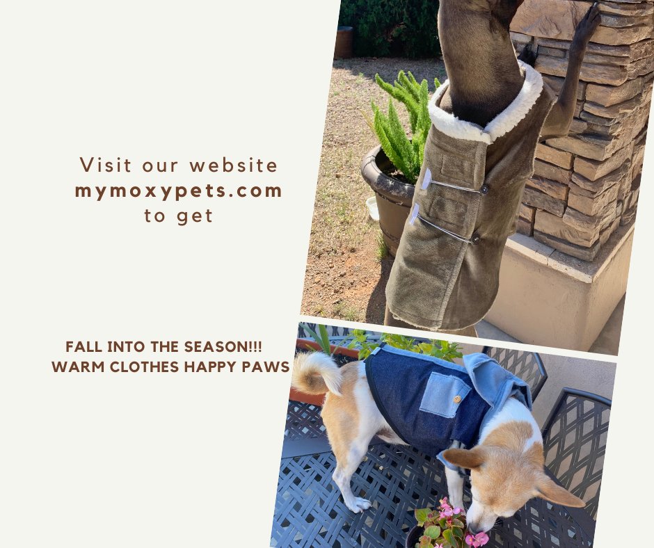 MyMoxyPets's tweet photo. πFALL INTO THE SEASON ππ
π₯° WARM CLOTHESβ¦ HAPPY PAWS πΎππΆ
.
.
#dogs #pets #moxypetapparel #furloves #mybuddies #lovedogs #doglife #dogstyle #petlovers #petstyles #mypets #furgram #petstagram #dogstagram #buddies #dogpuppies #puppygram https://t.co/U9sRmqtT2u