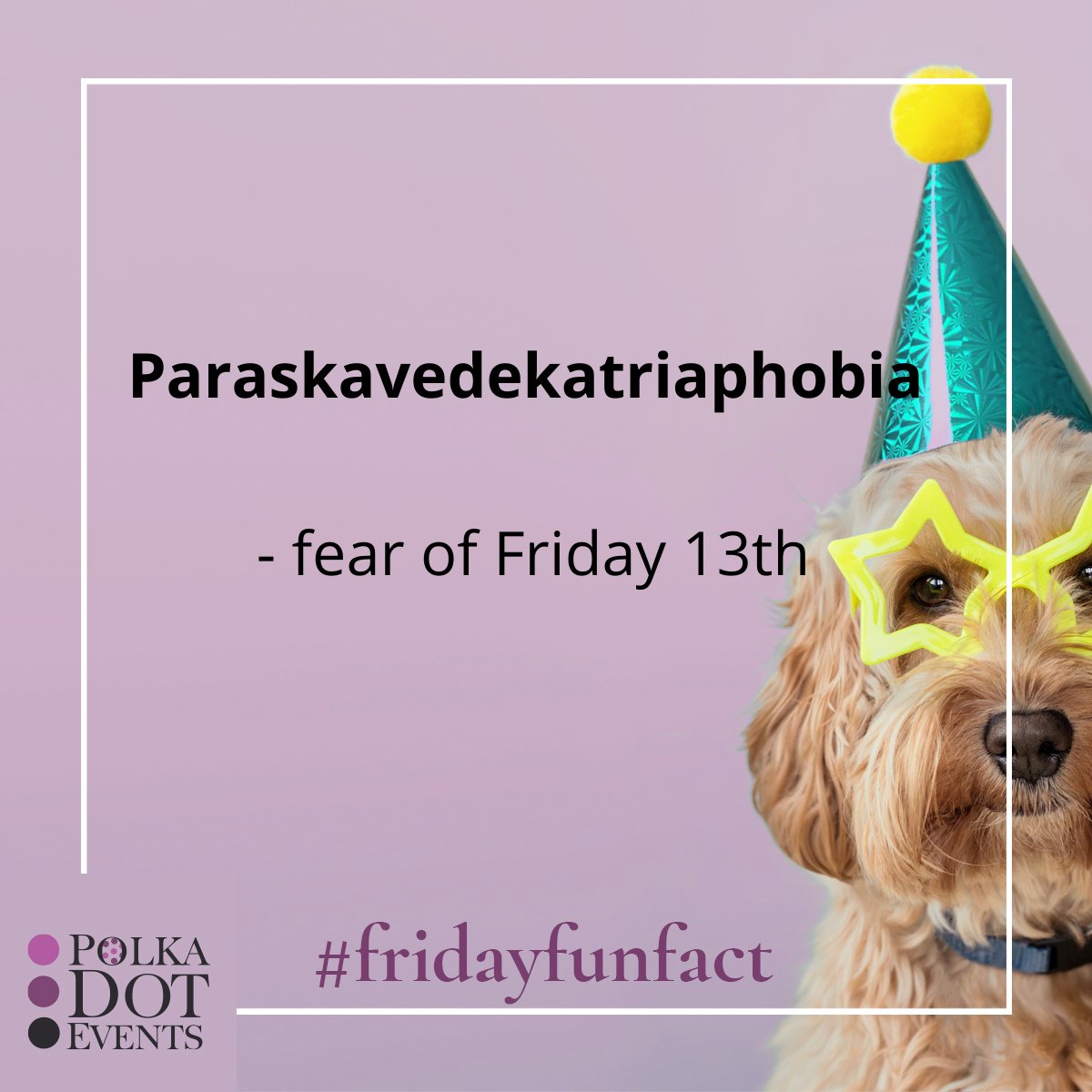 Polka Dot Events Management tweet media