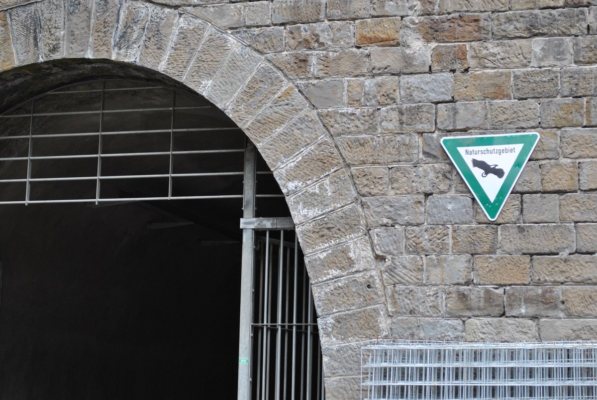 stadt_wuppertal's tweet photo. Ruhe für die Fledermäuse 🦇 und beste Gelegenheit für uns, das Bauwerk zu inspizieren: Der Tunnel #Schee an der @nordbahntrasse wird wie jedes Jahr über Halloween geschlossen. Von Freitag, 29. Oktober, bis Dienstag, 2. November, bleibt er dicht. Infos: https://t.co/5gegHGEB0o https://t.co/X3cANrjjGD