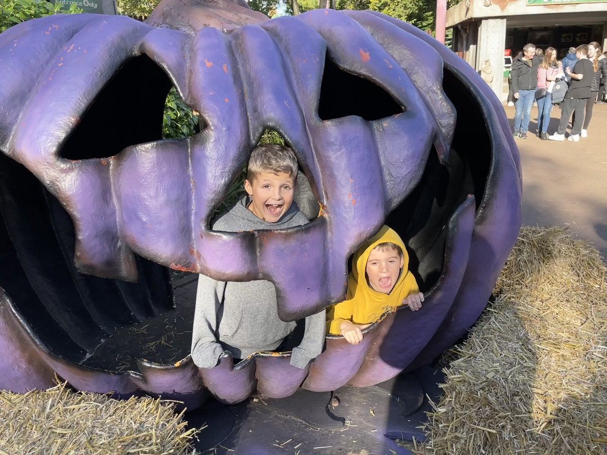 nataliea29's tweet photo. @MerlinapUK @CWOA #MAPJustTreats https://t.co/ZVyhDbHebQ