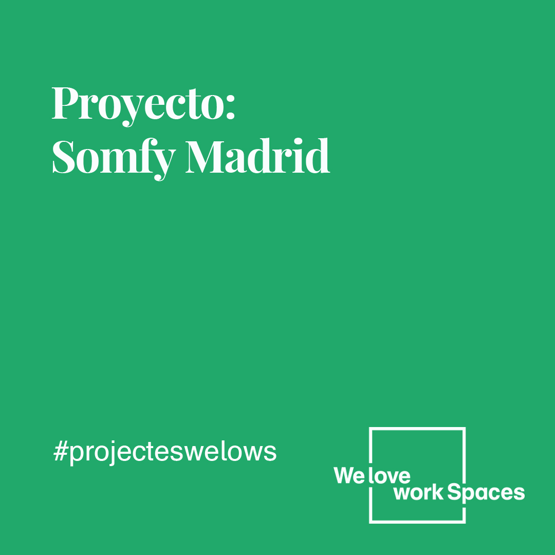 WeloveworkSpace's tweet photo. Estamos contentos que @somfy haya contado con nosotros para realizar las nuevas oficinas de Barcelona y Madrid. De esta última ya podemos decir que hemos entregado con éxito el proyecto ejecutivo y arranque de obra.💪🏻 #Welows #WeloveworkSpaces #espaciospersonalizados #somfy https://t.co/Vr3m9Dnr90