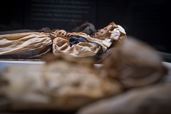 CTScienceCenter's tweet photo. Real Science. Real Mummies. Real People. Mummies of the World: The Exhibition opens soon at the Connecticut Science Center. Visit https://t.co/eHJ8T4gCcH for more information.
#Mummies #MummiesOfTheWorld #CTScienceCenter #LoveScience #ScienceIsCool https://t.co/jbNRXTjbrI
