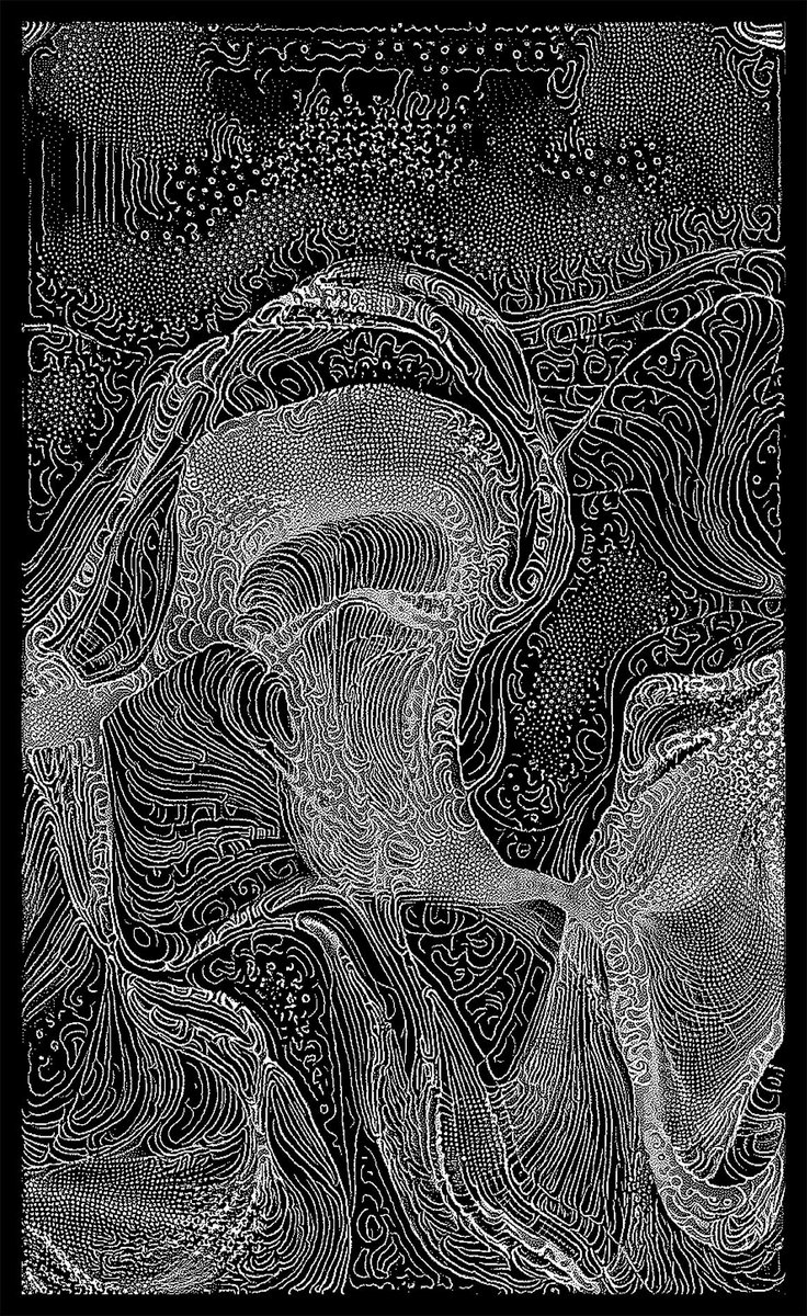 mark webster 🪸 tweet media