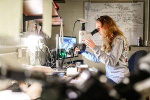 STEM Open House - Tuesday, November 2, 2021 | 2:00 - 6:00 pm.

Don't miss learning about our GRADUATE STEM Education programs! Dr. Augusto Macalalag, Program Director, will be ready to listen and answer all your important questions.
Register today: 
arcadia.edu/events/2021/11…