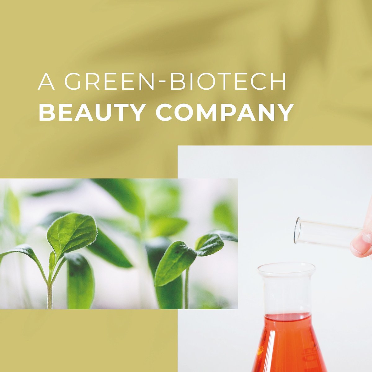 Seeds of Colour tweet media