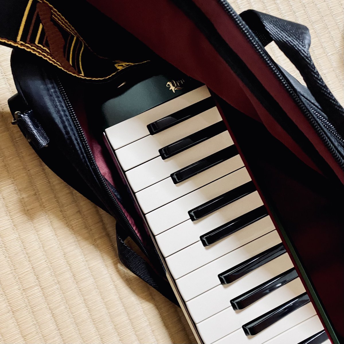 3ikak0's tweet photo. 🎒鍵盤ハーモニカ🎹
スズキ メロディオン
誕生日60周年記念 限定モデル🟩🟨🟥
小学生の時はおさがりだったので、初めてのマイケンハモ!
めちゃくちゃ楽しい!そしてすっごいいい音!
いつかお披露目できるように頑張ります😚🎹
#鍵盤ハーモニカ #ケンハモ
#スズキ #メロディオン
#PRO37v3 #PRO37v3 https://t.co/WLC5ioEHLL