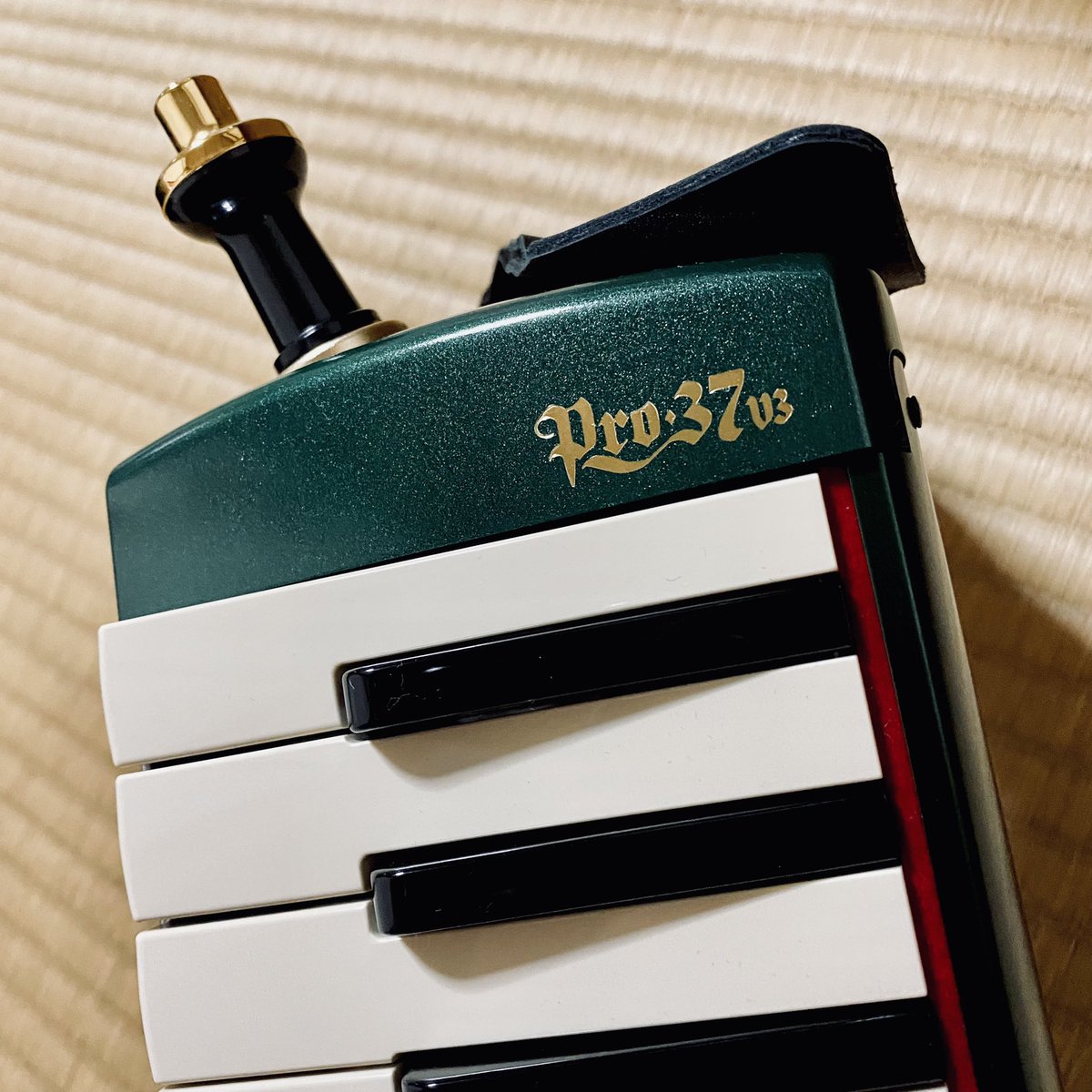 3ikak0's tweet photo. 🎒鍵盤ハーモニカ🎹
スズキ メロディオン
誕生日60周年記念 限定モデル🟩🟨🟥
小学生の時はおさがりだったので、初めてのマイケンハモ!
めちゃくちゃ楽しい!そしてすっごいいい音!
いつかお披露目できるように頑張ります😚🎹
#鍵盤ハーモニカ #ケンハモ
#スズキ #メロディオン
#PRO37v3 #PRO37v3 https://t.co/WLC5ioEHLL