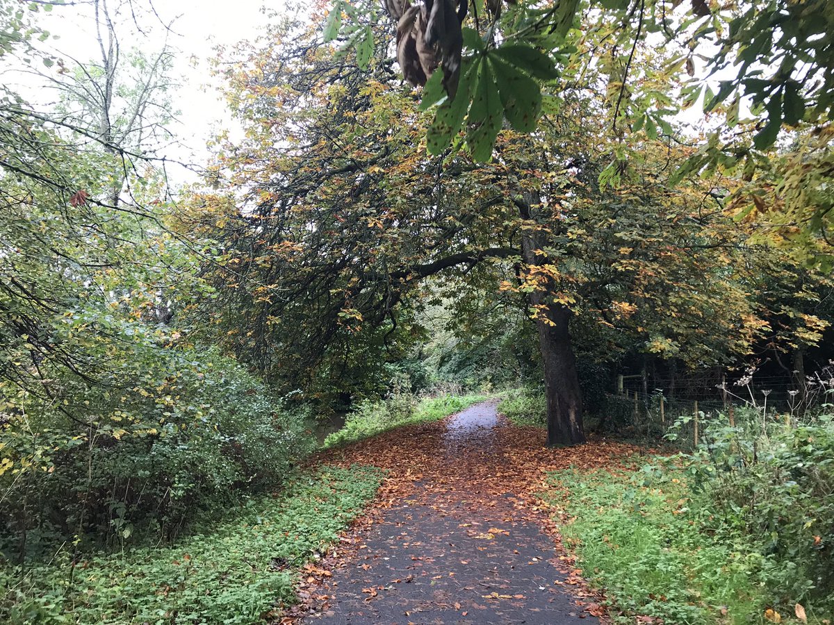 siobhanpharding's tweet photo. Wet half term walk with the teens #ShawsBridge @WeatherCee @angie_weather @barrabest @geoff_maskell @bbcniweather https://t.co/CCcpl3Jd3Z