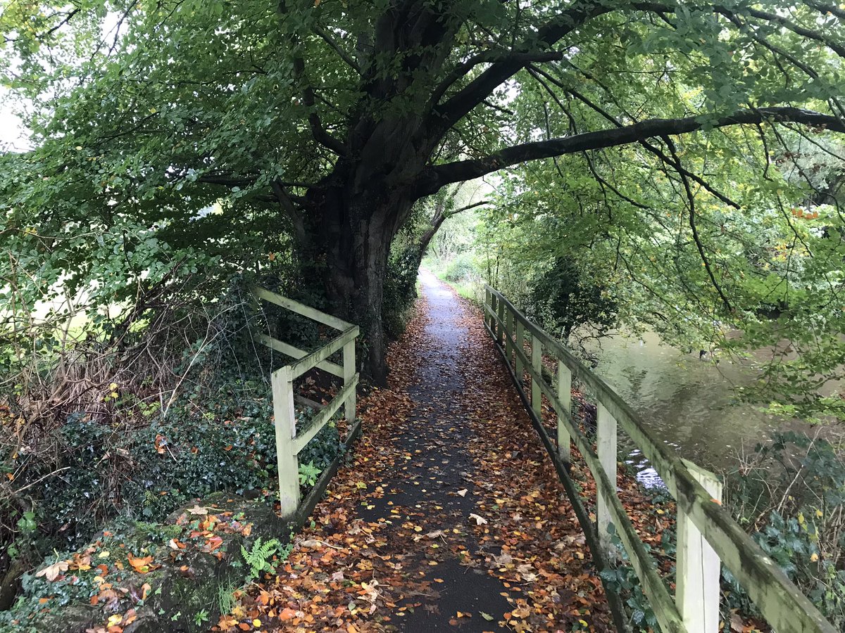 siobhanpharding's tweet photo. Wet half term walk with the teens #ShawsBridge @WeatherCee @angie_weather @barrabest @geoff_maskell @bbcniweather https://t.co/CCcpl3Jd3Z