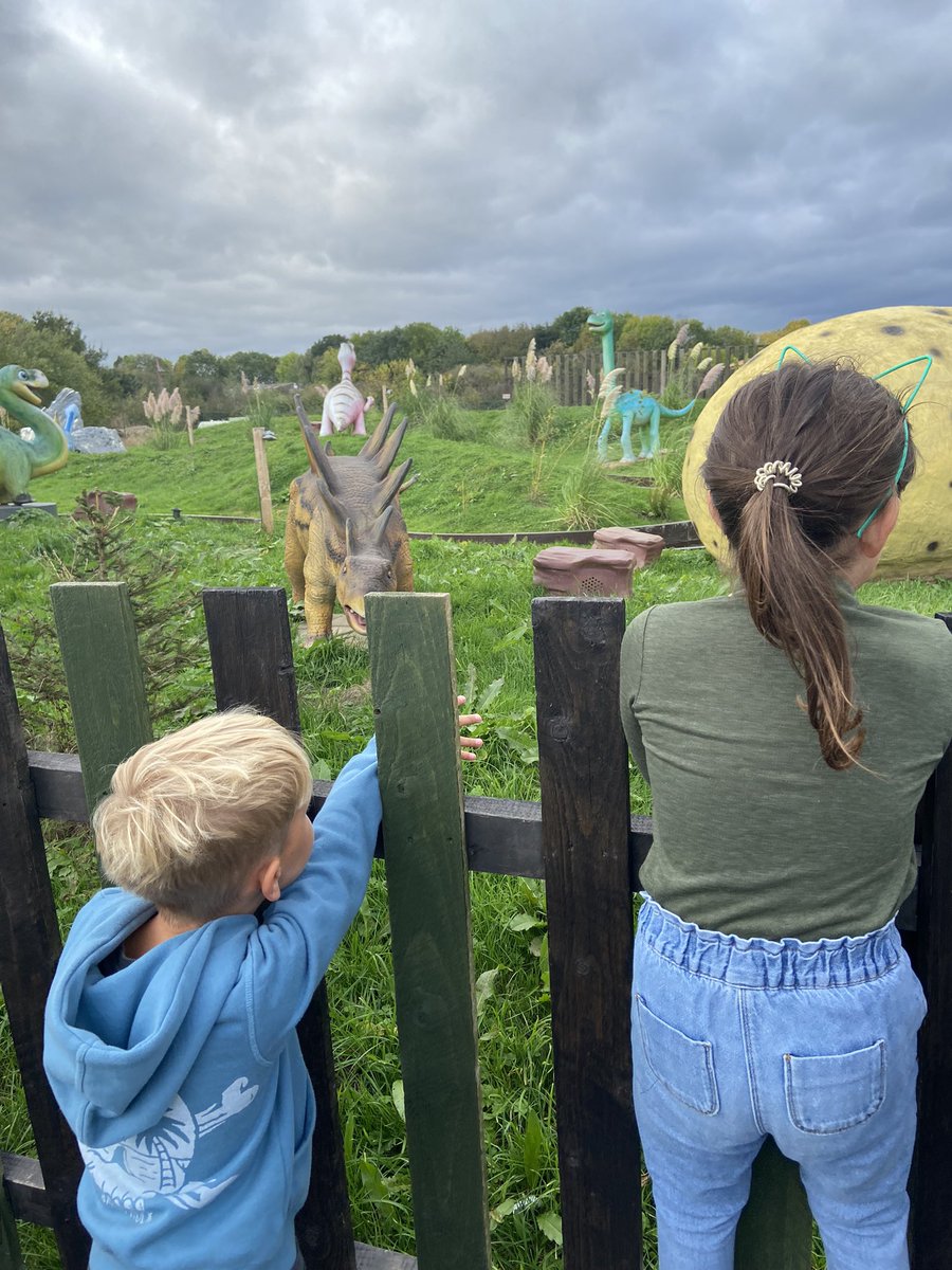 Charlie78097349's tweet photo. Exploring the dinosaurs 🦕 🦖@southfieldY2 @Southfield1W https://t.co/nyuyoSqwe6
