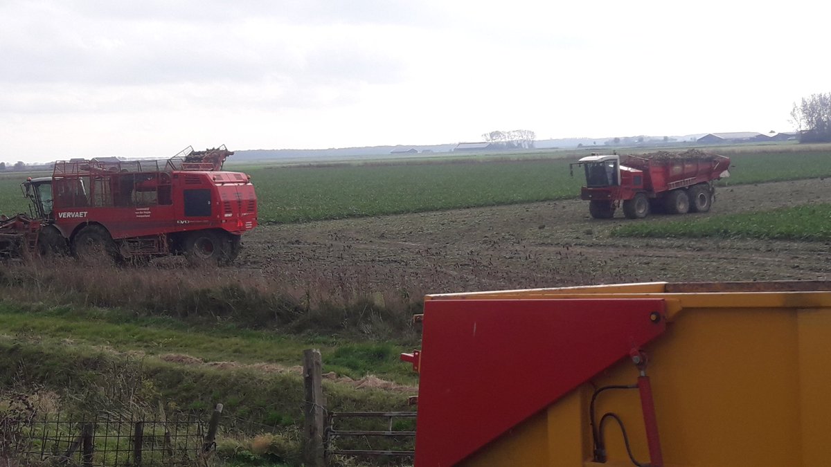 mschippers67's tweet photo. 3de ronde bieten en proeven met de Passie moeten er ok aan geloven in de zware grond.  @IRS_Linda of @irs_claudia zal wel met gebak komen denk. @IRS_suikerbiet @CosunBeetCo https://t.co/8NFl7ozdj0