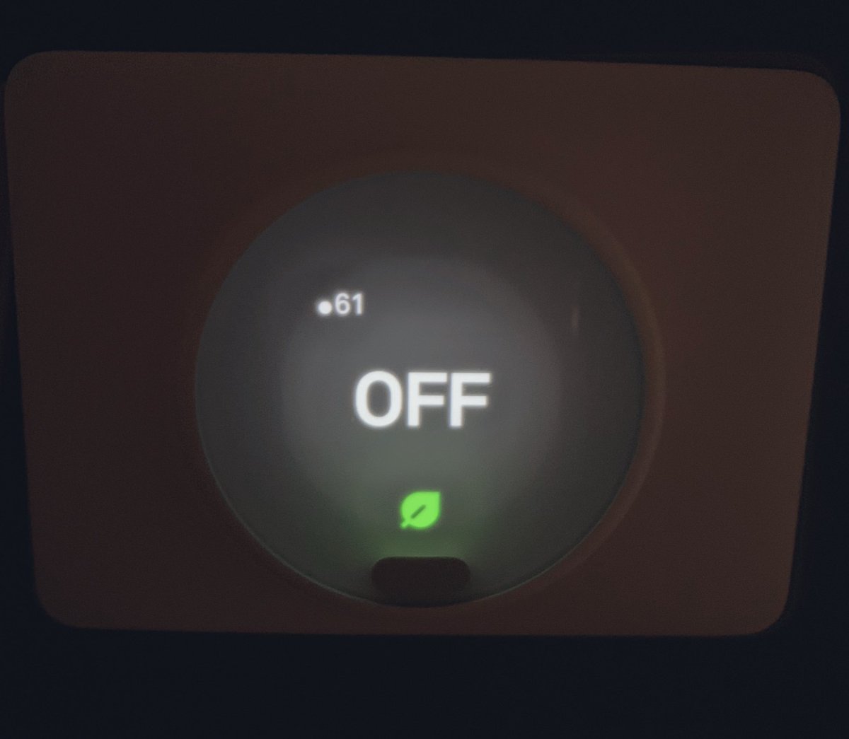 Sean Ash tweet media