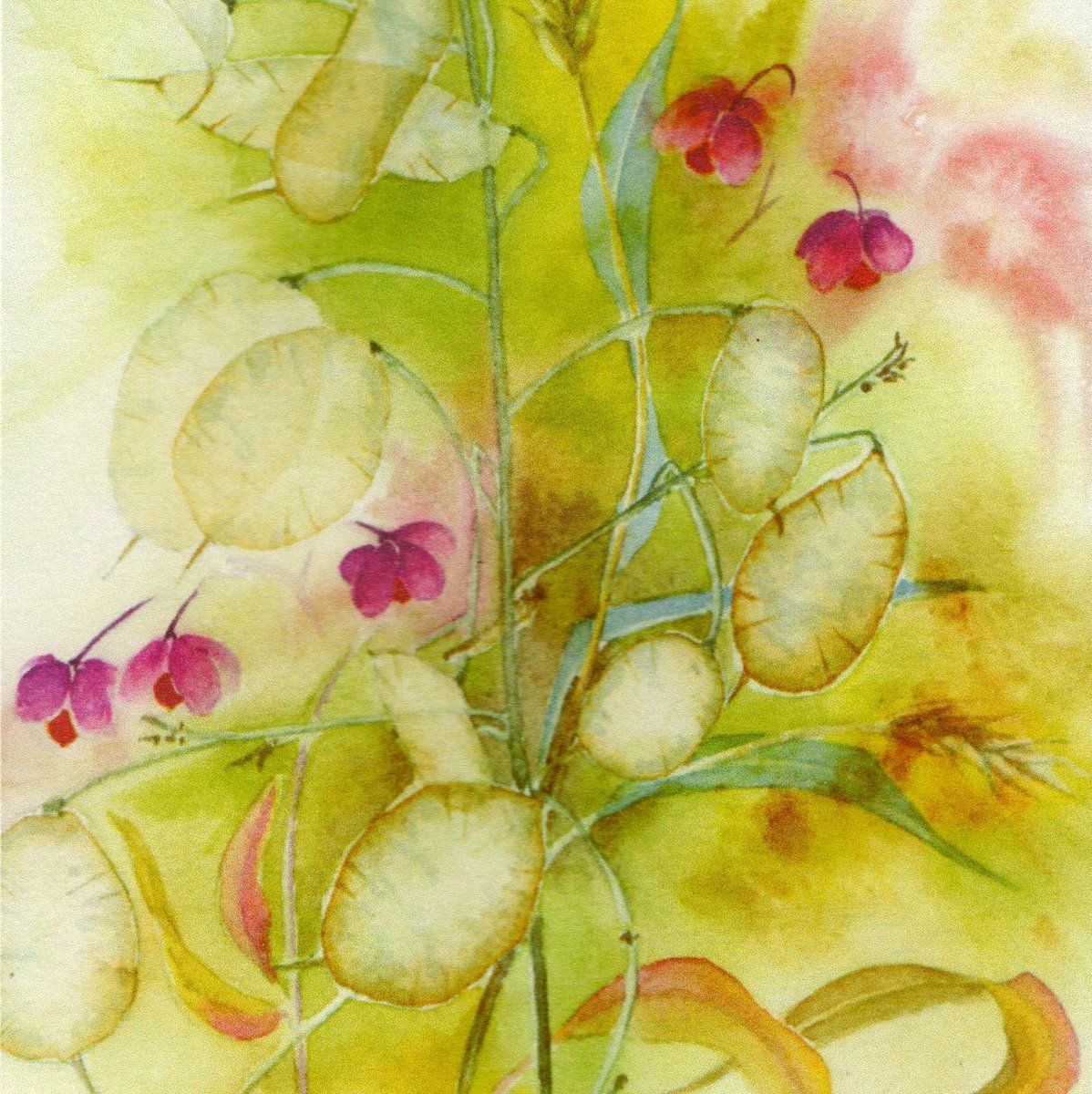 AngelaB45446735's tweet photo. Collection from hedgerows - including honesty that grows wild here and there - and spindle bush the wood of which was used for spinning wheel spindles once upon a time! #naturelover #plants #watercolourpainting  #autumn #ideas #creativityforall #Creativity4Better https://t.co/kDksRJQfUV