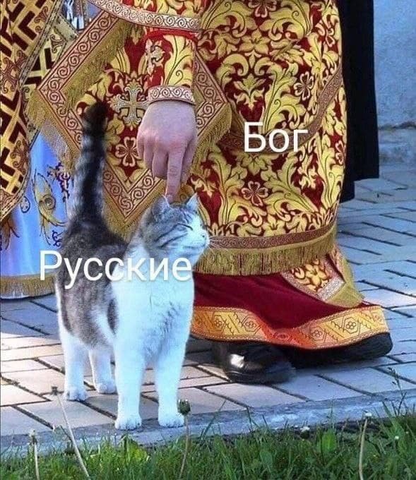 FCtHVRRXoAcLLec?format=jpg&name=small