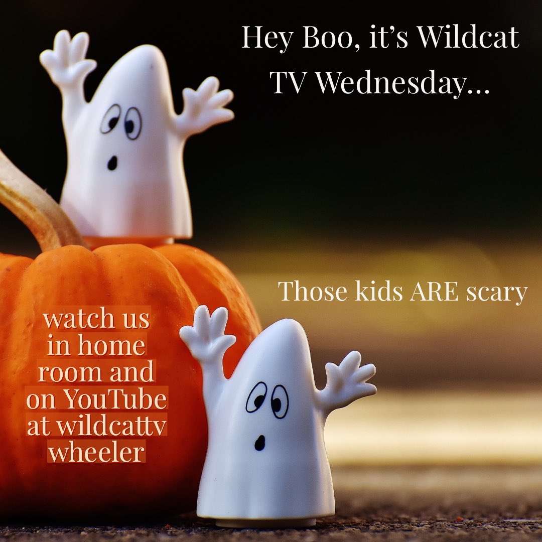 wildcatTV tweet media
