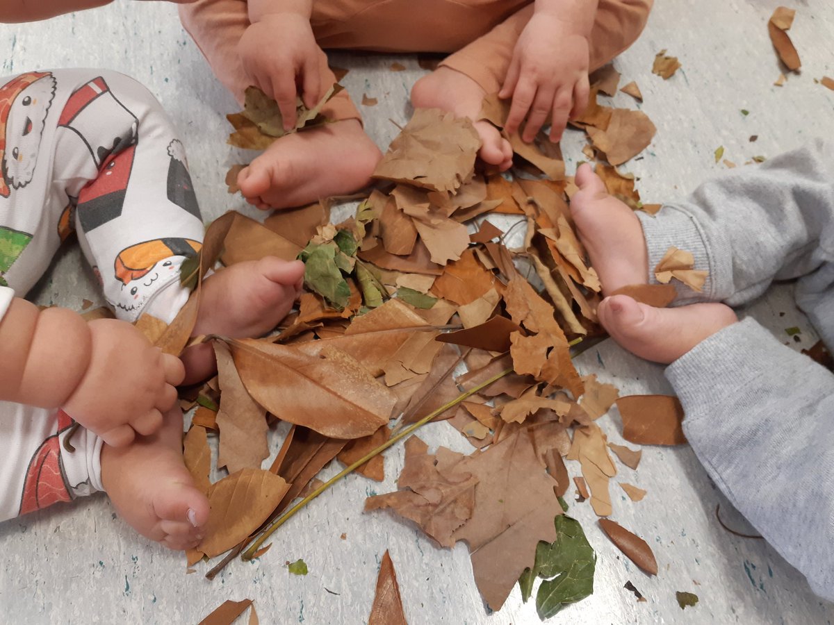 Margiss4's tweet photo. 🍁Hem sentit el tacte i el pessigolleig als peus de les fulles seques de la tardor 🍂
💙
#activitatsensorial
#vivimlatardor
#novessensacions
#JEStGervasi https://t.co/HM5y6xNQkW