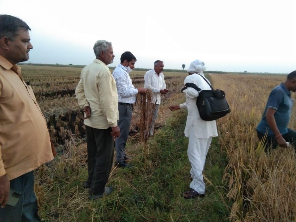 SDM Jansath (जयेन्द्र कुमार) tweet media