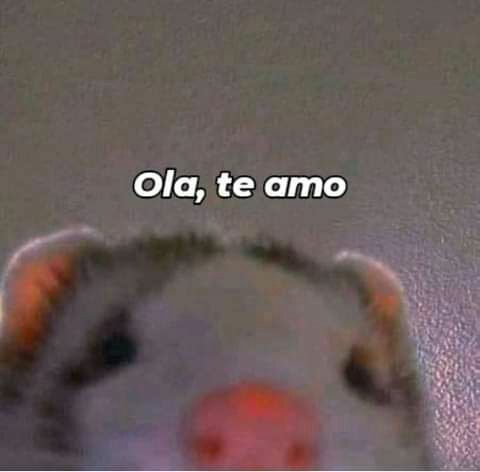 Gm mutis y no mutis ¿como están?