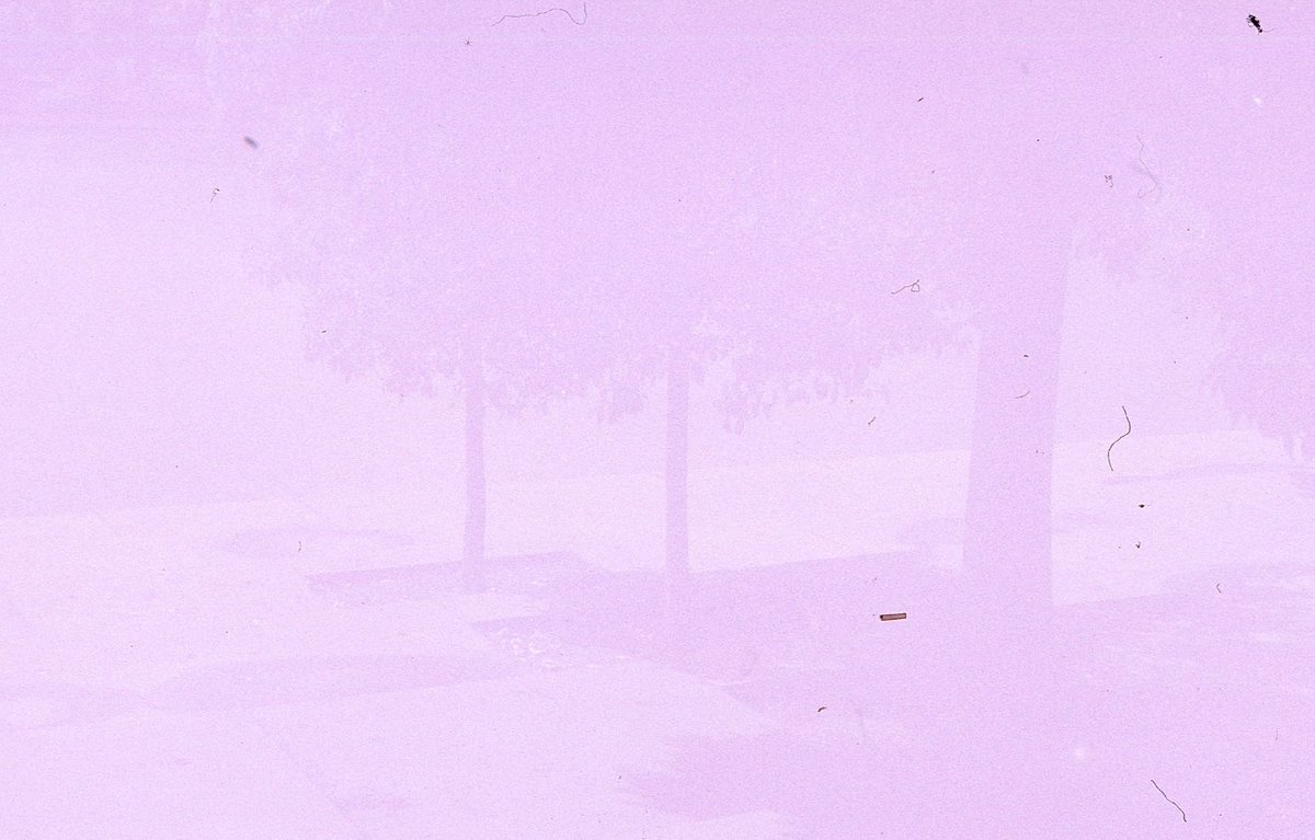 smouuuuk's tweet photo. I’ve got to say that these photos are heavily edited just so the photo can be seen, I played a lot with the levels just so that it looks fine, the original scans look like this: https://t.co/tmAU0RWY5D