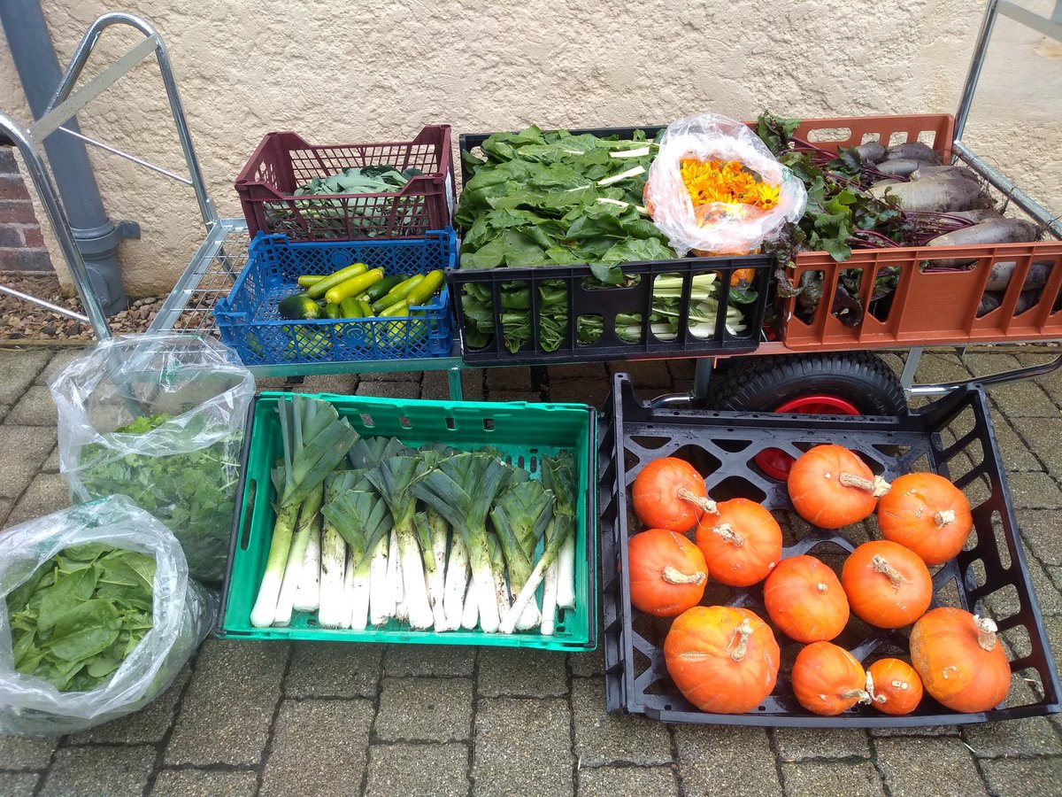 Seasonal harvest from the kitchen garden @TheBotanics heading to the gateway café now! Leeks, squash, chard, edible flowers, spinach, mixed salad leaves, beetroot, purple sprouting broccoli and (surely the last?) courgettes