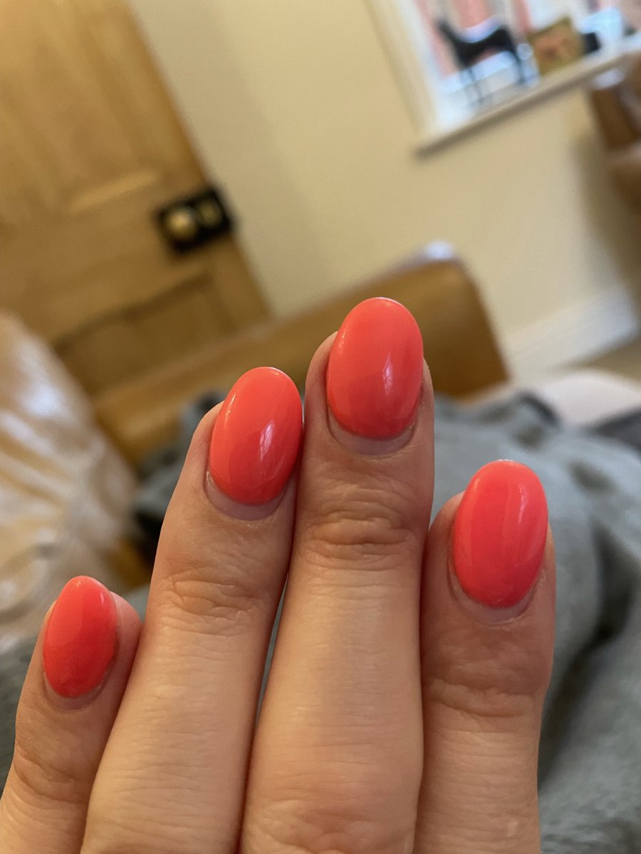 Sarah Stern tweet media