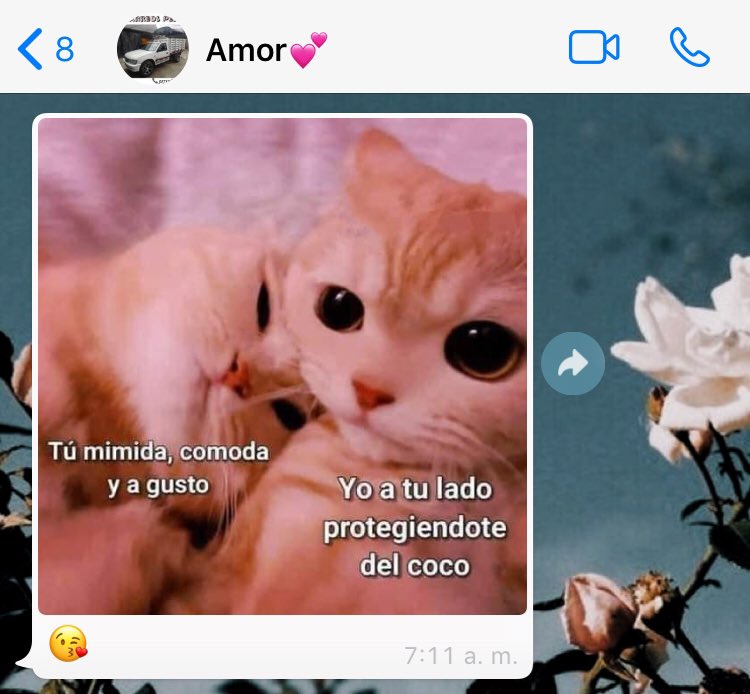 KJulianaaC's tweet photo. Mi amor me protege del coco🥺🥰 https://t.co/ch9bKQrwHF