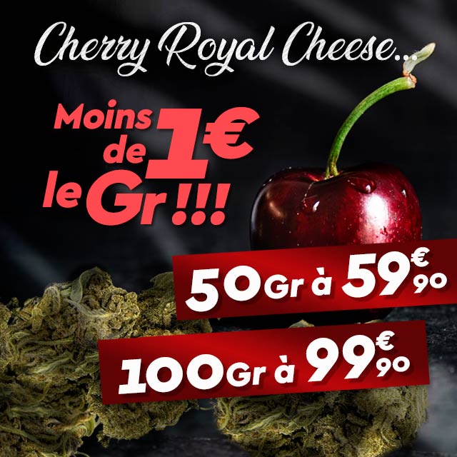 🌿MERCREDI PROMO🌿

Cette semaine, on a le plaisir de vous présenter notre
🍒Cherry Royal Cheese🍒

Ces têtes sont tellement belles et croustillantes 😋

- 50gr = 59.90€
- 100r = 99.90€ 😍

Ne ratez pas cette occasion !! 

Rdv sur Weed Side Story 🌿
weed-side-story.com/fr/extrait-fle…