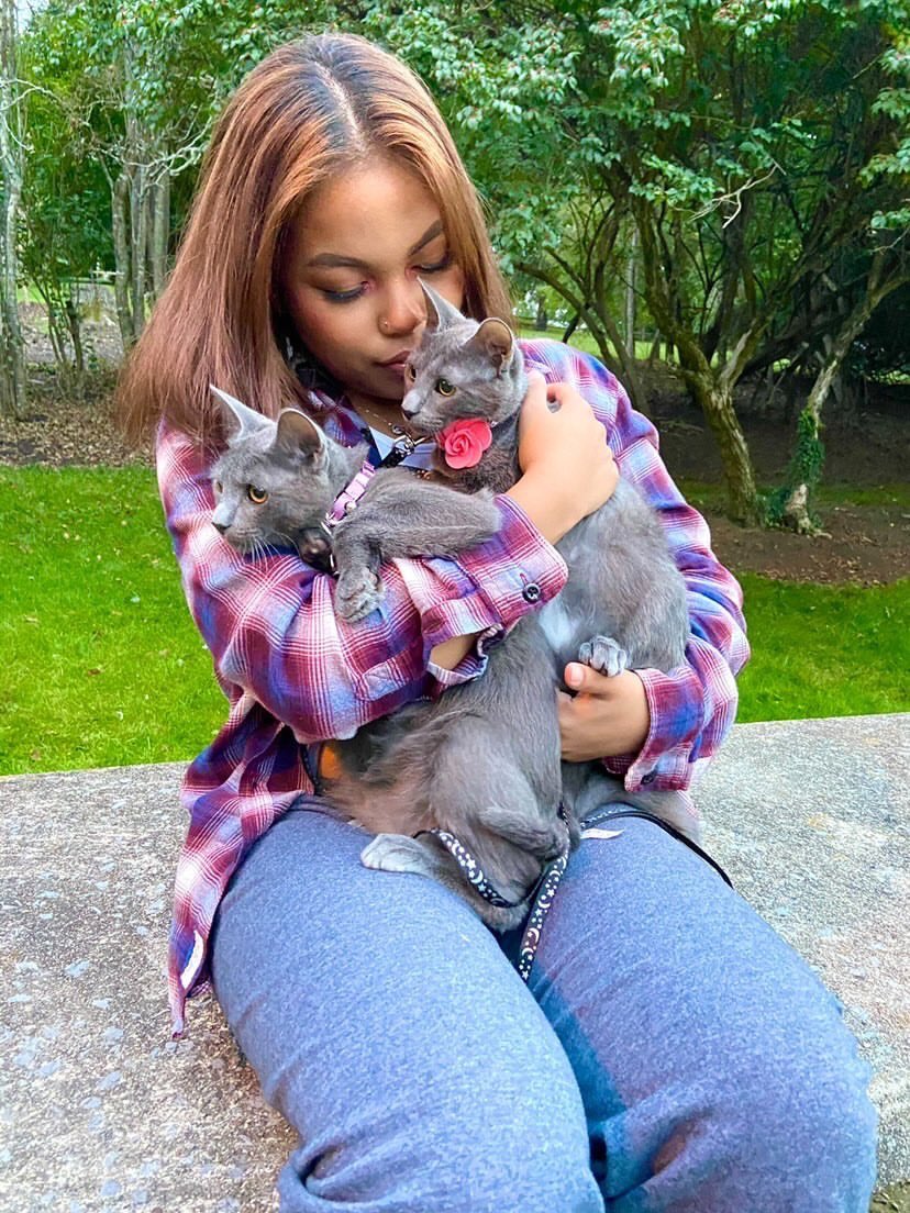 The Yates Society at VT tweet media