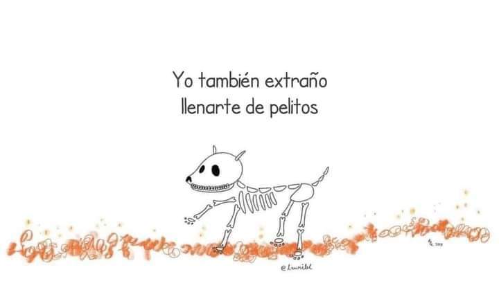 Hada_deDientes's tweet image. 27 de octubre, día en el que nuestras mascotas vuelven del mas allá. 
Llegan a visitar la casa en la que en vida fue su hogar. 🥺❤️