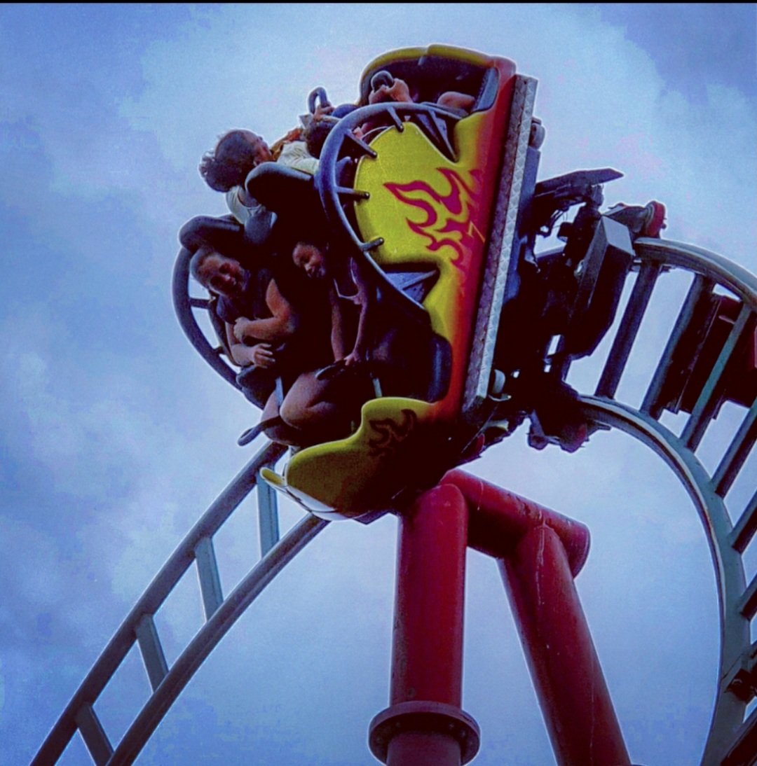 TheShove's tweet photo. @MerlinapUK @CWOA #MAPJustTreats https://t.co/njGsmFaGHP