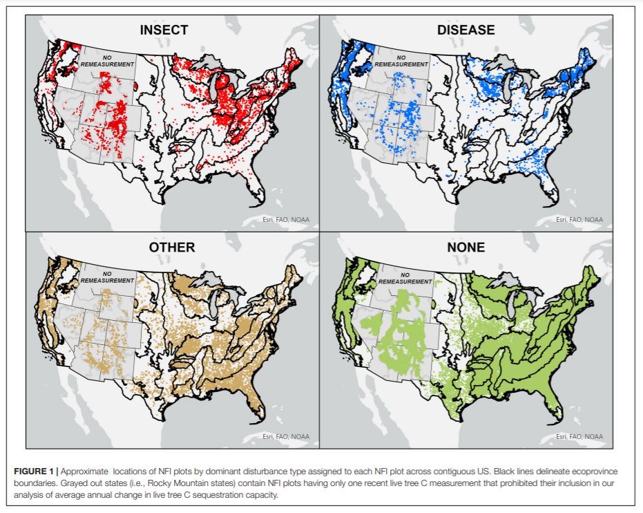 usfs_nrs's tweet photo. #NewPublication : Insect and Disease Disturbances Correlate With Reduced Carbon Sequestration in Forests of the Contiguous United States
https://t.co/giGjV47YSr https://t.co/3FSu7jqKAj