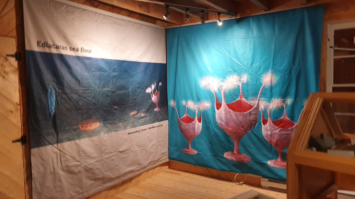 jackjmatthews's tweet photo. These banners were designed by Mighty Fossils as part of the @morethanadodo #FirstAnimals exhibit - you can find out more here:
https://t.co/iCrziSaGHq

Within hours of donation, they were up on display, sharing the story of the local fossils from 560 million years ago! https://t.co/06oNQwso9c