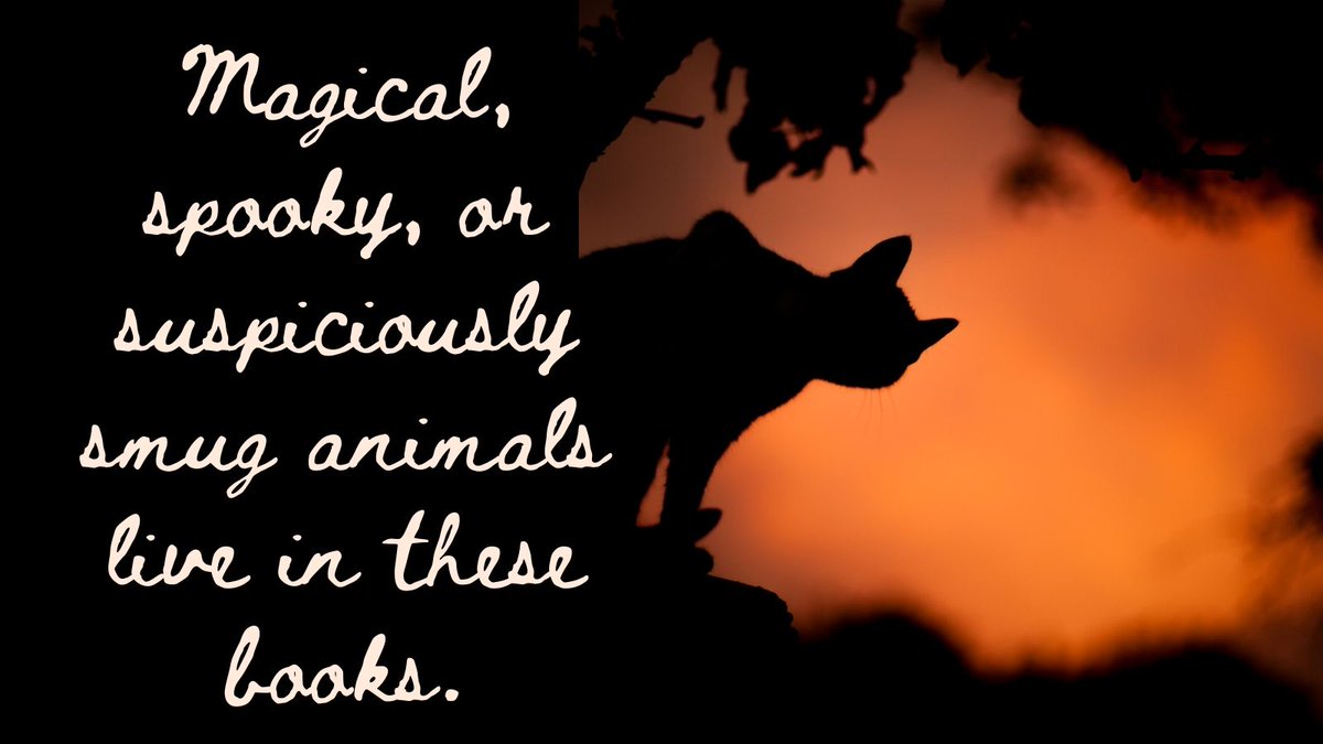 newbooksplease's tweet photo. Cats, crows, bats and owls! Magical, spooky, or suspiciously smug animals live in these books. https://t.co/ArRWS452Ki #Halloween #readinglist #magicanimal #fantasy #familiary #raisingreaders https://t.co/DvgXteiUEt