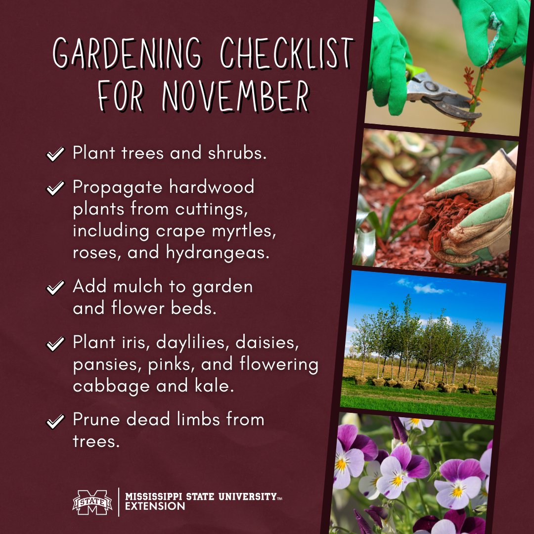 MSUExtService's tweet image. It's already time to be thinking about gardening tasks for November! View the full list + find more resources here: ow.ly/3vx750GyQgA #ExtensionForRealLife #MSUext 🌳🌸🌹🌿
