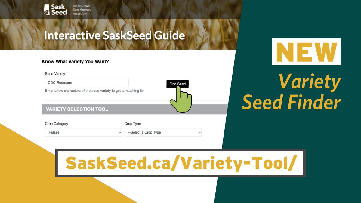 SaskPulse's tweet photo. Finding seed… simplified! Check out the Interactive SaskSeed Guide to find the right seed for your farm. https://t.co/29y1RgOH9N @saskseed #AgTwitter #westcdnag https://t.co/NjfLsa6zWH