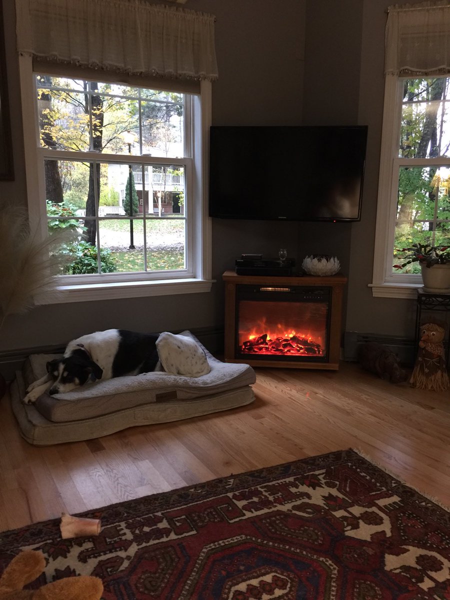cindiflowwrites's tweet photo. My Moxie is warm and cozy on a rainy fall morning! #dogs #horses#childrensbooks ⁦@authoress_cj⁩ ⁦@MannWrites⁩ ⁦@diannfloydboehm⁩ https://t.co/dV6eEyk0ss