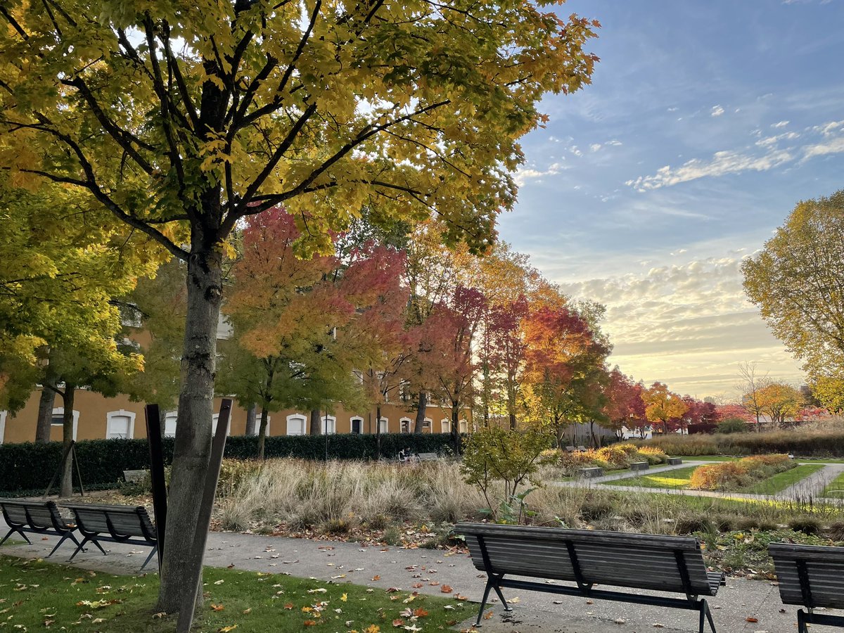 ใครเห็นทวิตนี้ ขอให้ได้ย้ายประเทศค่ะ