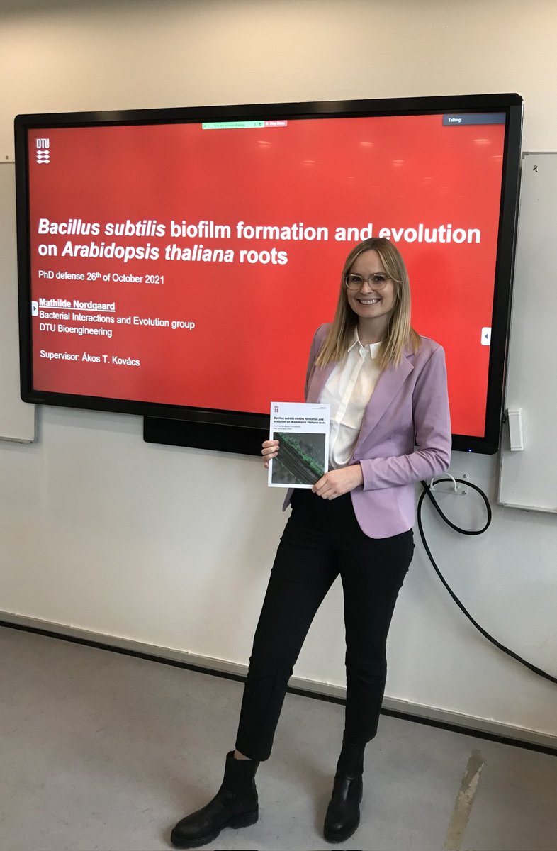 Mathilde Nordgaard tweet media