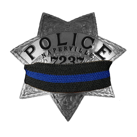 Please keep the family, friends and colleagues of Pontoon Beach, IL Police Officer Tyler Timmins in your thoughts. Officer Timmins was shot and killed in the line of duty while investigating a stolen vehicle yesterday. Rest in peace, Officer.